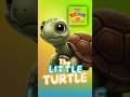 The Little Turtle Gets Lost 🐢 | Educational Story for Kids | Preschool Tale (Ages 3–6)