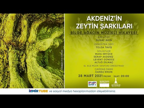 Video: Akdeniz Zeytini