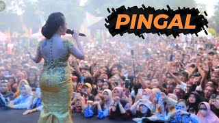 PINGAL - Natural Tone ft. Syahiba Saufa | Live Purbalingga