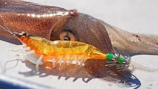 Nantucket Sound Squid Fishing aboard FV Skipjack