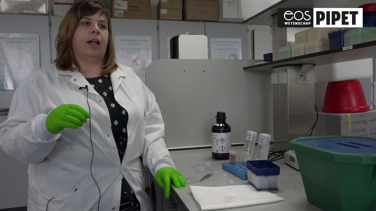 Hoe bestudeer je dendritische cellen en macrofagen?