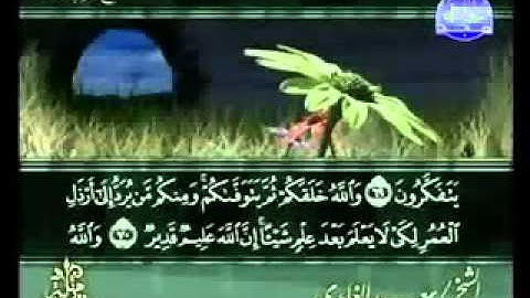 ختمة الشيخ سعد الغامدي 16 سورة النحل