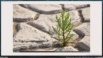 i3wm on Antergos : using zsh instead of bash