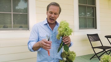 Pruning Tools and Uses