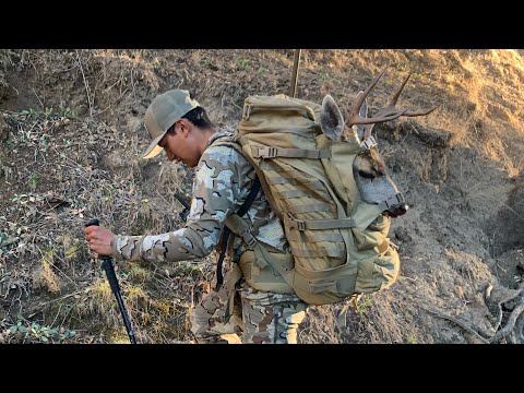 Buck Down - California Deer Hunting