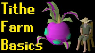 Basic Tithe Farm Guide 2021 (OSRS)