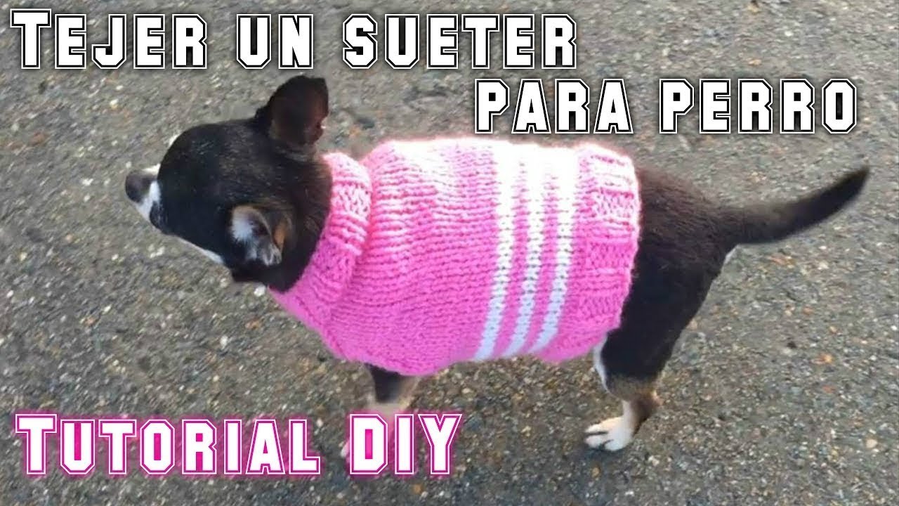 tejer un sueter para perro? Tutorial DIY YouTube