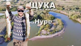 видео: #РЫБАЛКА. ЩУКА на Живца 2 на Нуре. ЖОР набирает обороты+Видео с дрона #рыбалка #djimini2 #щука #нура картинка: #РЫБАЛКА. ЩУКА на Живца 2 на Нуре. ЖОР набирает обороты+Видео с дрона #рыбалка #djimini2 #щука #нура