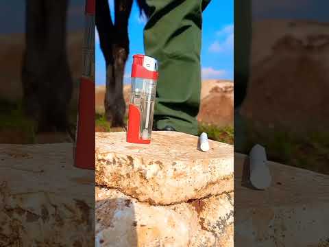 اني تاريخ ستوري ريمكس حصان اغاني منوعات اجتماعيه سوريا زعيم اسيا اغاني بدون حقوق طبع ونشر