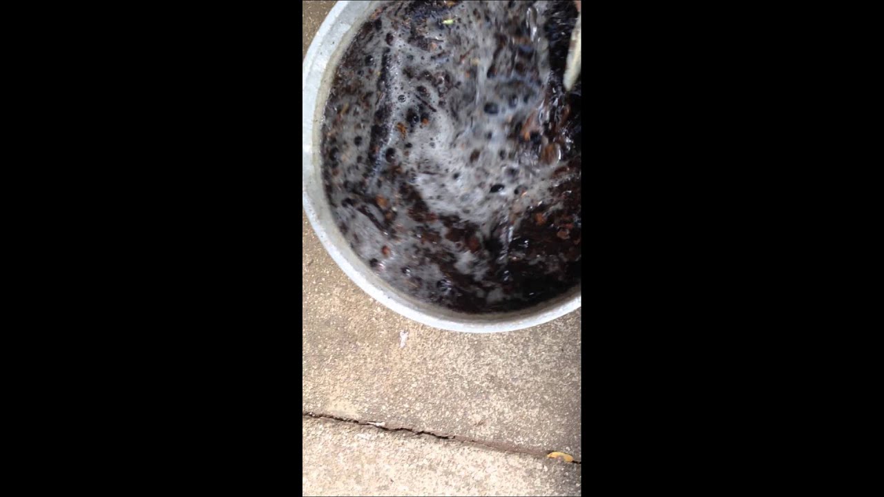 Préparation du mélange pour la culture NFT. ETAPE 4