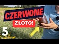 Dziurawiec i jego czerwone złoto!