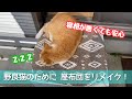 【猫用座布団】野良猫の寝相が悪いので座布団をリメイクしました