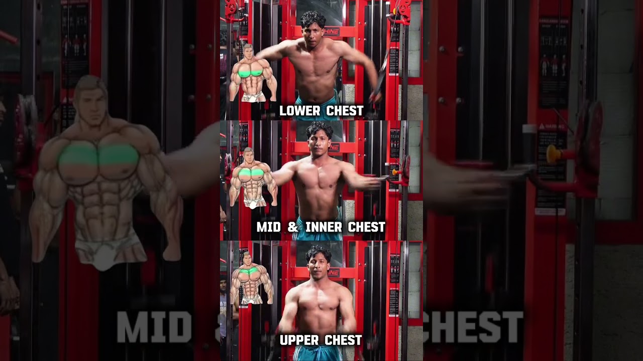 How to Target Every Part of Your Chest 