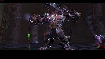 GW2 fractal 40 farm - chrono pov (old)