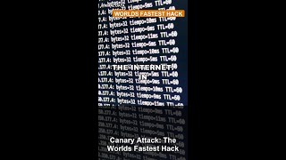 Canary Attack: The World's Fastest Hack