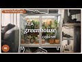 Building diy greenhouse cabinet indoor set up  ikea milsbo plant styling tutorial  06