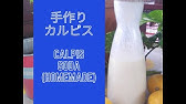 お家で超簡単 誰でも出来る カルピスの作り方 Dr Stone Youtube お家で超簡単 誰でも出来る カルピスの作り方 Dr Stone Youtube