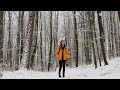 A relaxing walk through the snowy forests of Germany