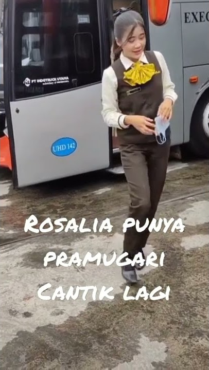 ROSALIA INDAH PUNYA PRAMUGARI CANTIK #fyp #busindonesia #busrosaliaindah #viral #fypシ