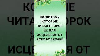 Молитвы, которые читал Пророк ﷺ для исцеления от всех болезней