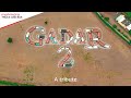 Mahindra truck and bus pays tribute to gadar2