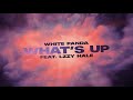 Capture de la vidéo White Panda - What's Up? (Feat. Lzzy Hale)