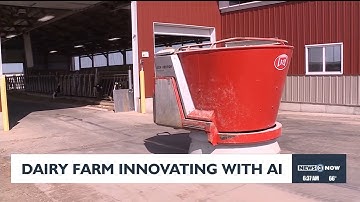 Dairy farm innovating with AI