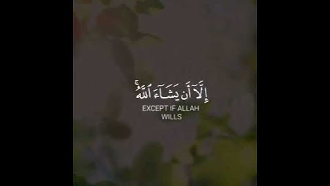 تلاوه خاشعه | بصوت القارئ ياسر الدوسري | حالات واتس اب دينيه♥♥.