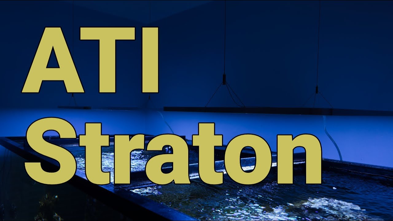 The (totally silent) ATI Straton LED reef tank - YouTube