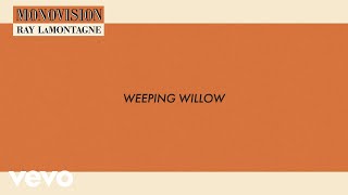 Video thumbnail of "Ray LaMontagne - Weeping Willow (Lyric Video)"