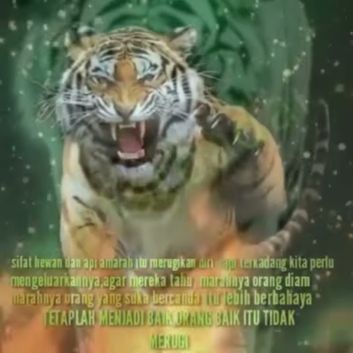 Story' WA 30 detik  Maung Bodas Sancang Sunda