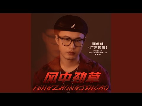风中劲草