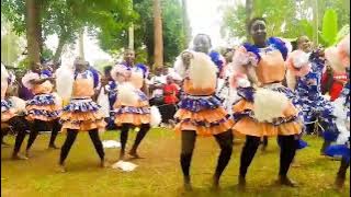 Shimbilu PAG electric performance 