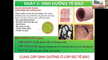 TALKING POINT 3. DINH DƯỠNG TẾ BÀO-TRƯƠNG ĐÌNH HÙNG #giamcan #songkhoe #yeusuckhoe