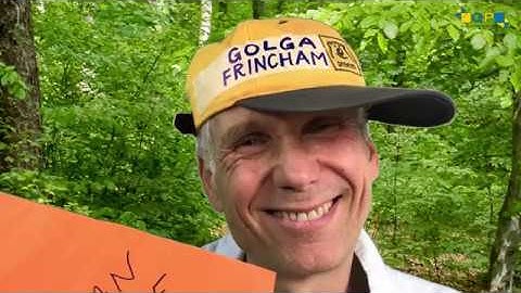 Qualia or When A.I. equals Advanced Incompetence - Transhumanist Satire