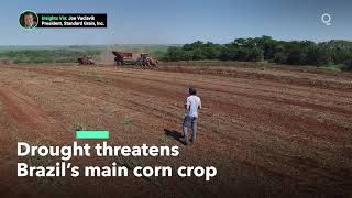Drought Threatens Brazil’s Major Corn Crop