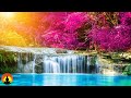 🔴 Study Music 24/7, Focus, Meditation, Concentration Music, Relaxing Music, Calm Music, Yoga, Study