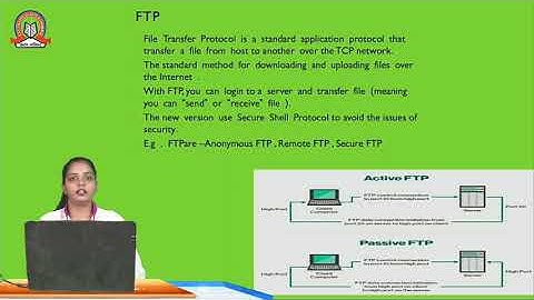 Internet & World Wide Web | Web Programming | FYBSc. IT - Sem 2 | SST College