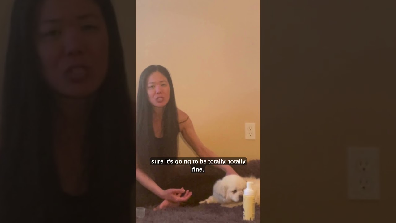 Miss Cookie Tests the FlyDog Dry Shampoo 