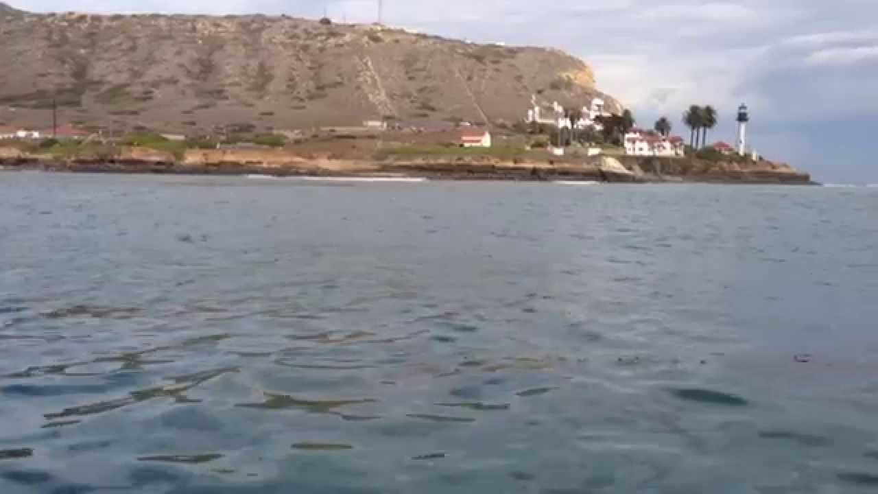 At donuts and dolfins, Surfing, Surf Trip, Cruising, Point loma, Light