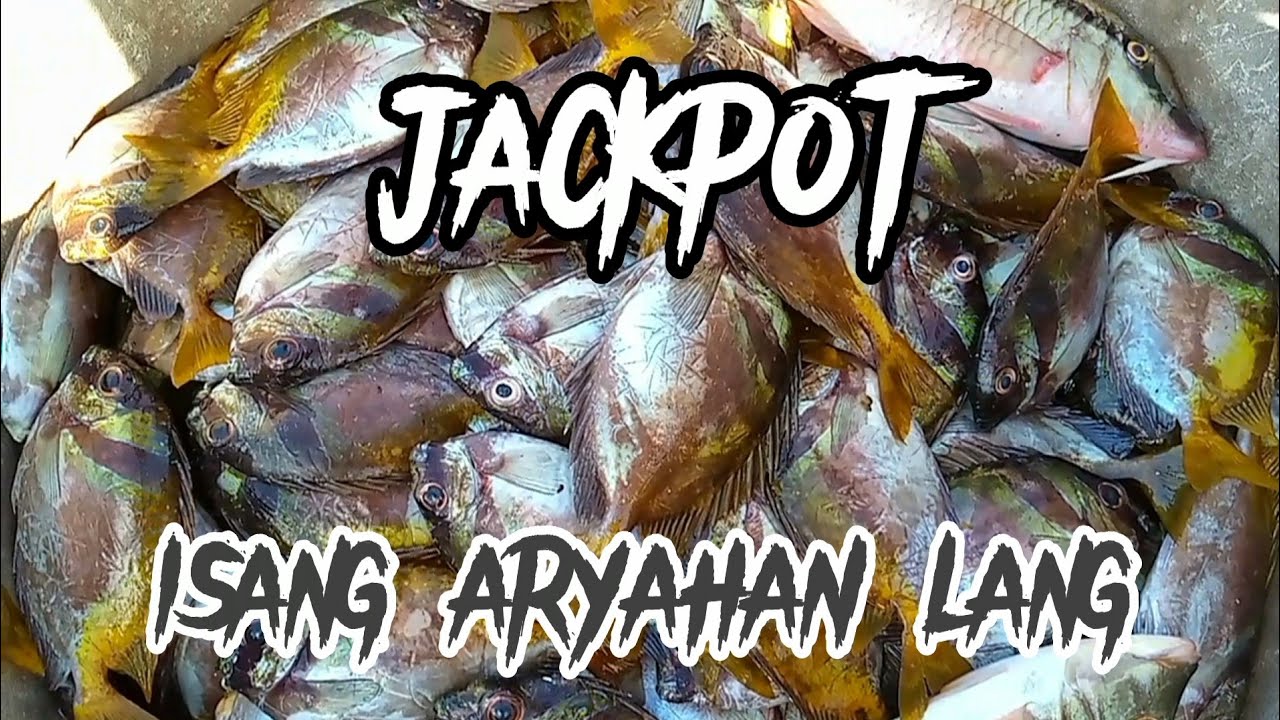 Tagbago Fish NAKA HULI SINA MAMA AT PAPA NG MARAMING TAGBAGO #netfishing #islandlife ...