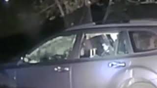 Cautious California deputy breaks an SUV window to free a trapped bear.