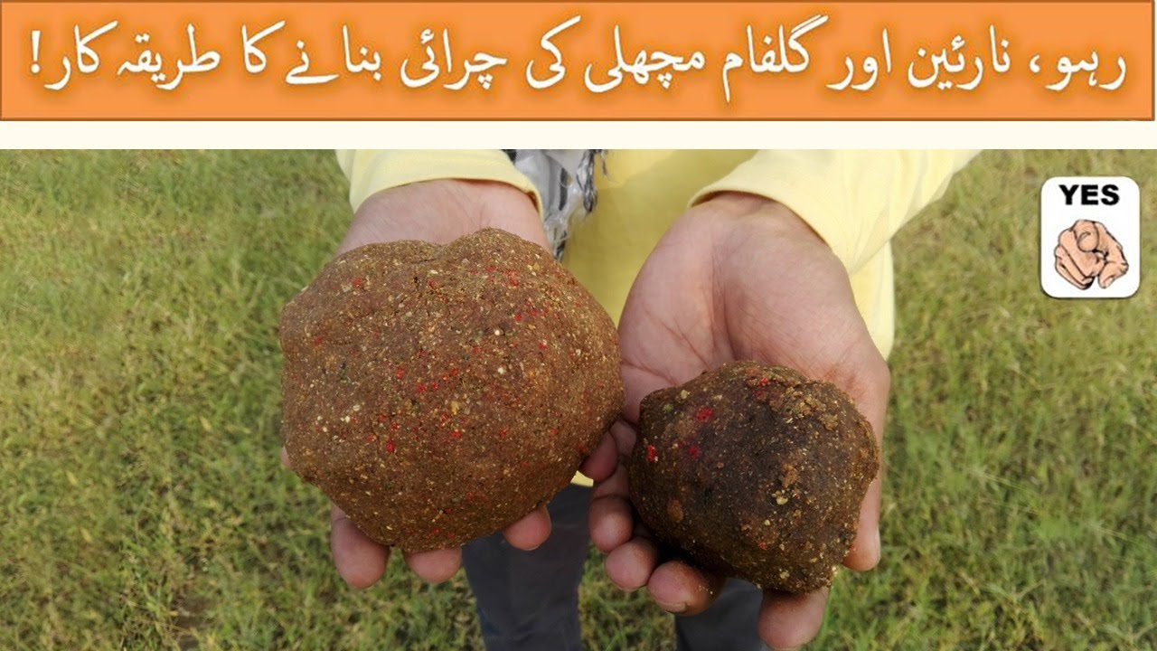 Magic Carp Fishing Bait; By Mr. Mustujab ur Rahman Hashmi. (FOR