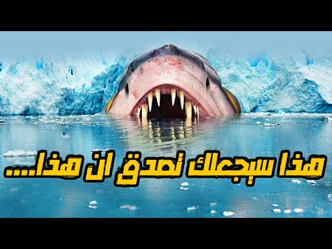 فيديو: ألاسكا كلي كاي و [مدش]. أجش مصغرة