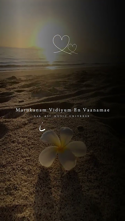 Roja Roja Roja 🌿 #musicuniverse8152 #kadhalardhinam #arrahman #shortsongwithlyrics #lovesongs