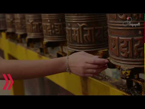 Vídeo: O Complexo Tsuglagkhang em McLeod Ganj, Índia