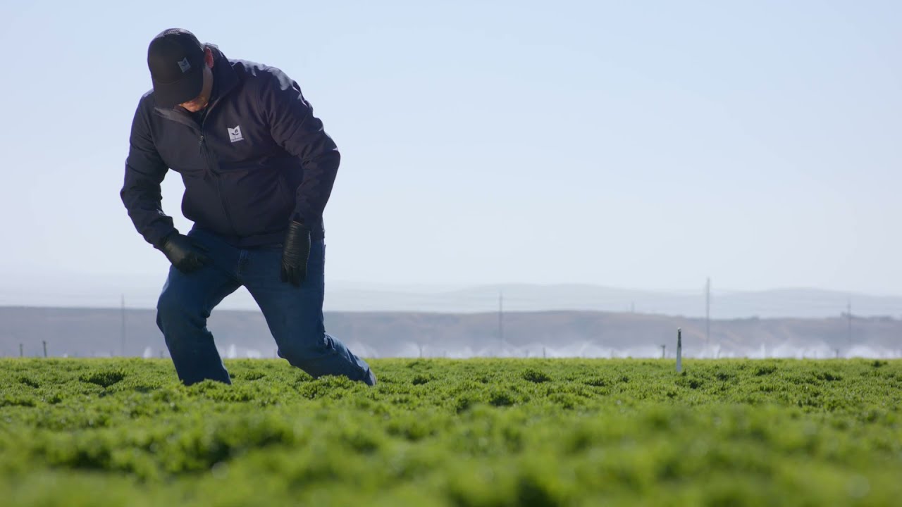 Redefining Fresh, Together: Markon Overview