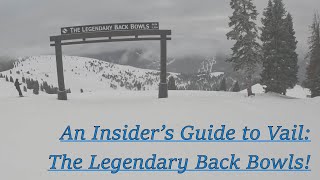 An Insider's Guide to Ski Resorts: Vail (ep. 17, part dBack Bowls)