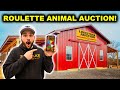 Surprise ROULETTE Animal AUCTION Challenge!!!