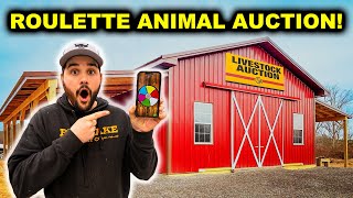 Surprise ROULETTE Animal AUCTION Challenge!!!